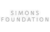 simmons